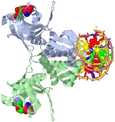 Image Asym./Biol. Unit