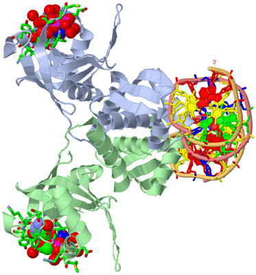 Image Asym./Biol. Unit - sites