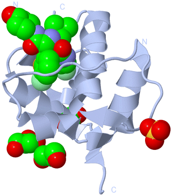 Image Biological Unit 1