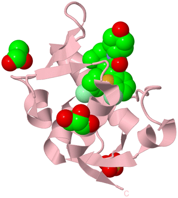 Image Biological Unit 3