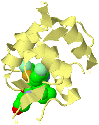 Image Biological Unit 4