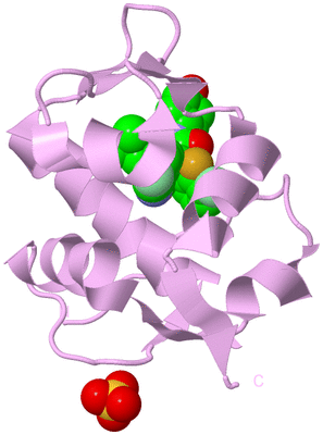 Image Biological Unit 5