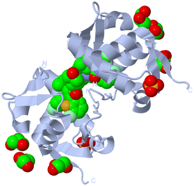 Image Biological Unit 6