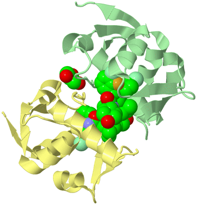 Image Biological Unit 7