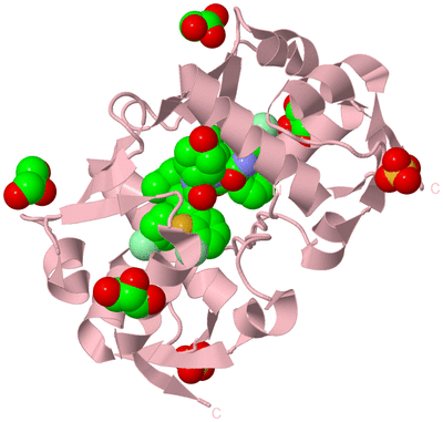 Image Biological Unit 8