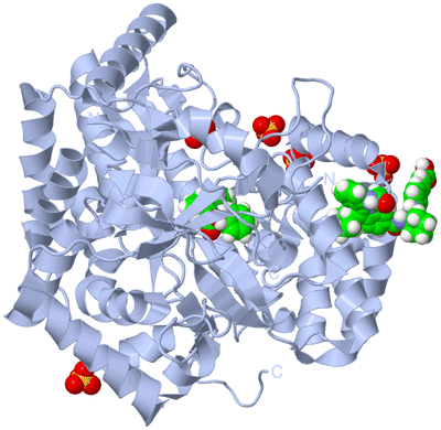 Image Biological Unit 1