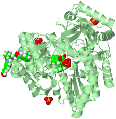 Image Biological Unit 2