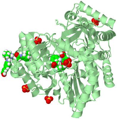 Image Biological Unit 2