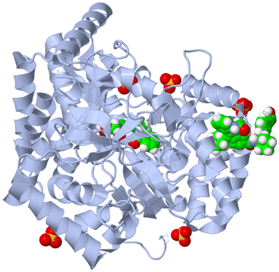 Image Biological Unit 1