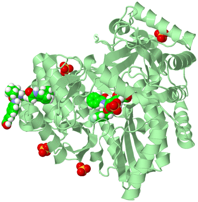 Image Biological Unit 2