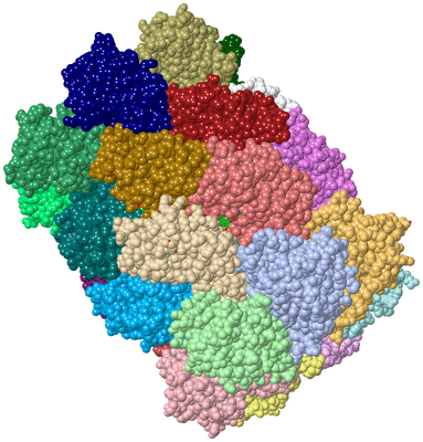 Image Biol. Unit 1 - sites