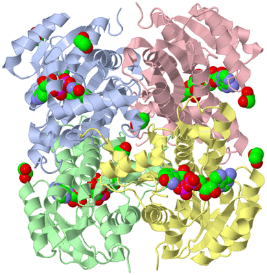 Image Asym./Biol. Unit