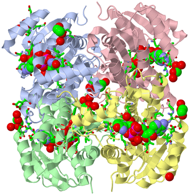 Image Asym./Biol. Unit - sites