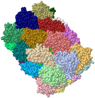 Image Biol. Unit 1 - sites