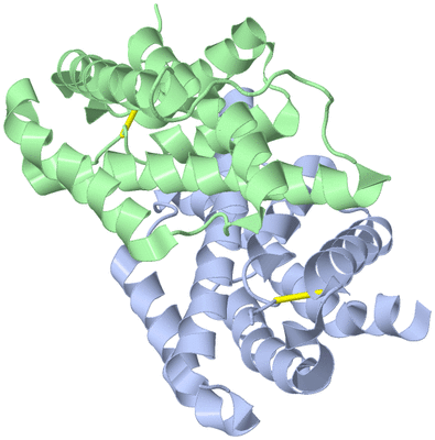 Image Biological Unit 1