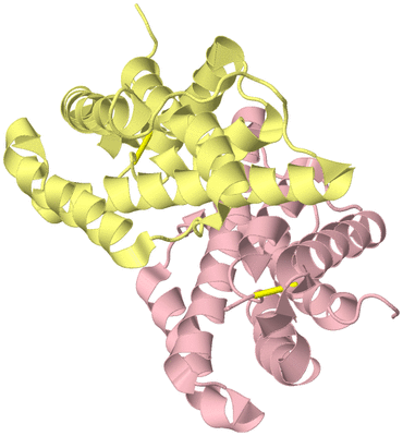 Image Biological Unit 2