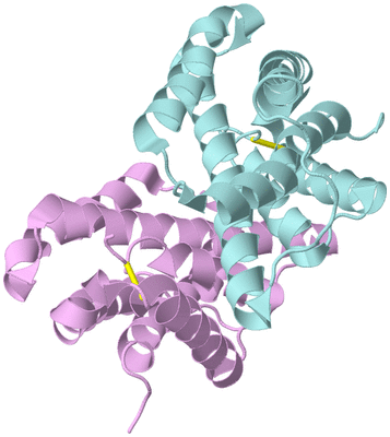 Image Biological Unit 3