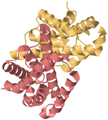 Image Biological Unit 4