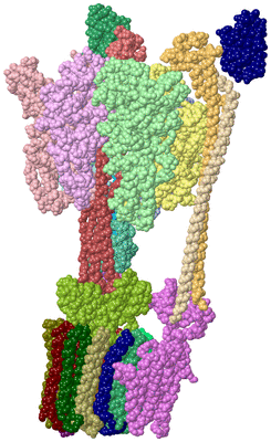 Image Asym./Biol. Unit