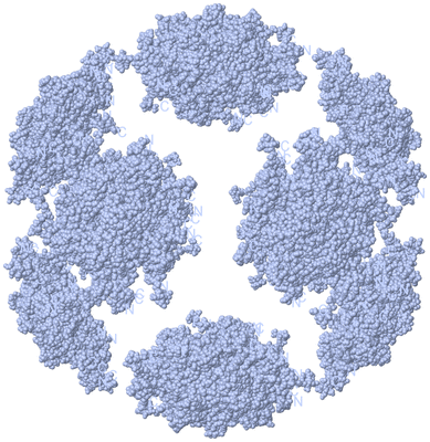 Image Biological Unit 1