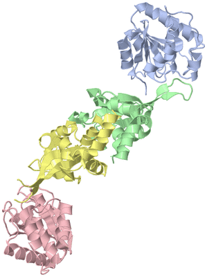 Image Asym./Biol. Unit