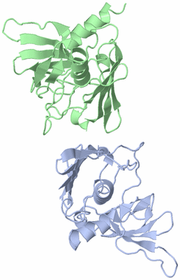 Image Asymmetric Unit