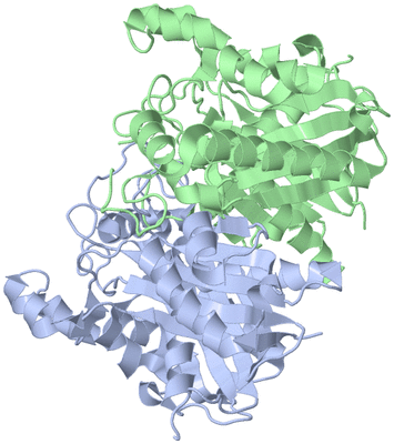 Image Asym./Biol. Unit