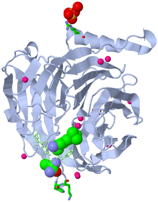 Image Biol. Unit 1 - sites