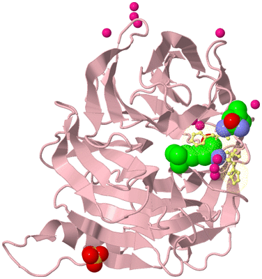 Image Biological Unit 2