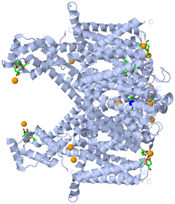 Image Biol. Unit 1 - sites