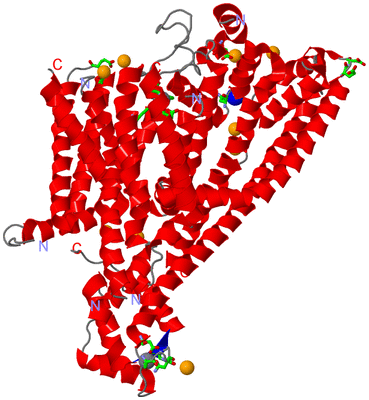 Image Asym. Unit - sites