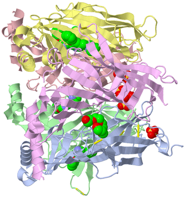 Image Asym./Biol. Unit