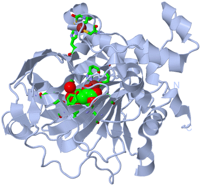 Image Biol. Unit 1 - sites