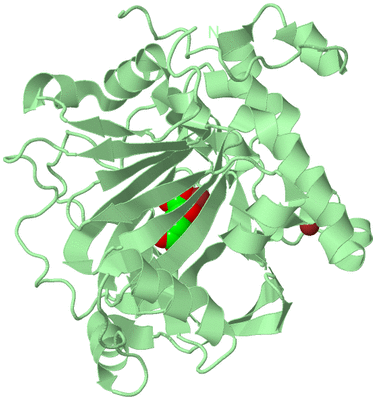 Image Biological Unit 2