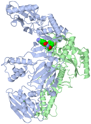 Image Asym./Biol. Unit