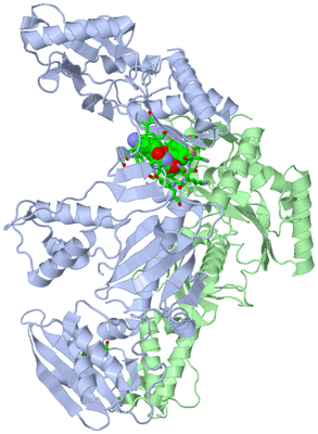 Image Asym./Biol. Unit - sites