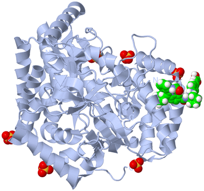 Image Biological Unit 1