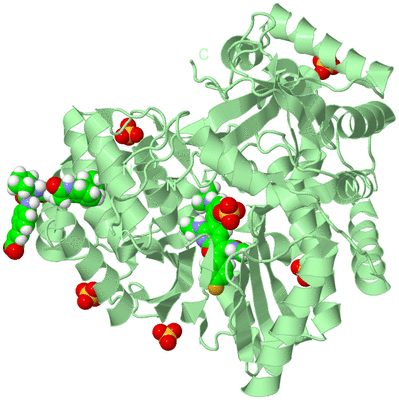 Image Biological Unit 2