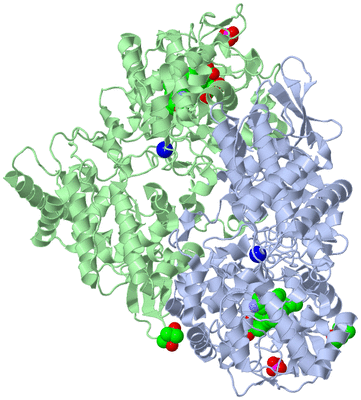 Image Asym./Biol. Unit