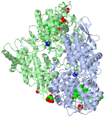 Image Asym./Biol. Unit - sites