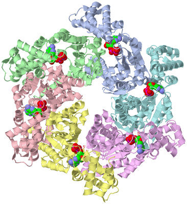 Image Biological Unit 1