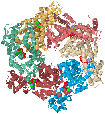 Image Biological Unit 2