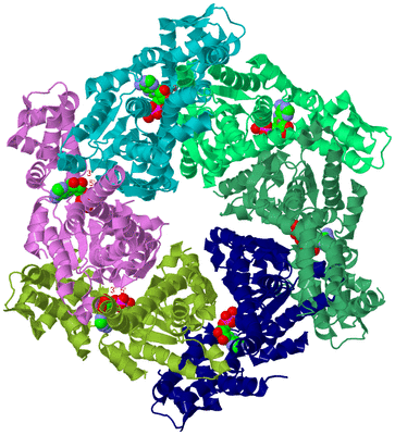 Image Biological Unit 3