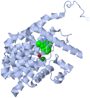 Image Biological Unit 1