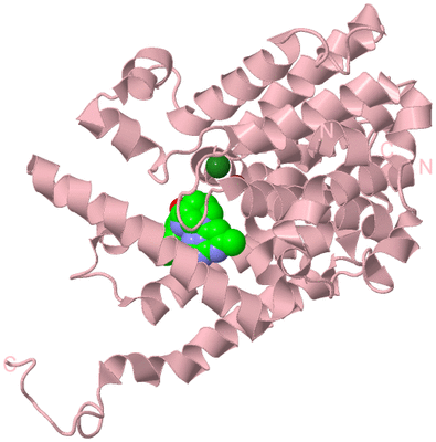 Image Biological Unit 3