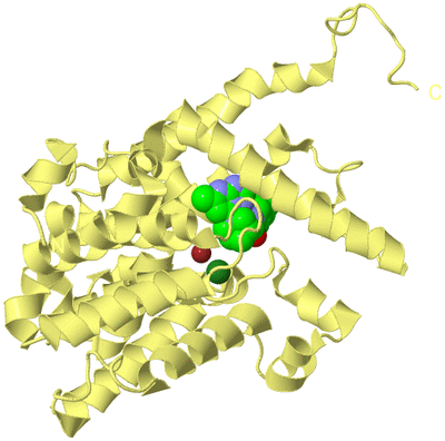 Image Biological Unit 4