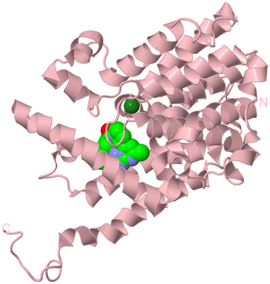 Image Biological Unit 3