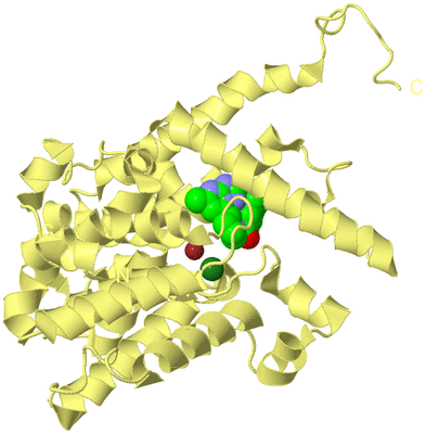 Image Biological Unit 4