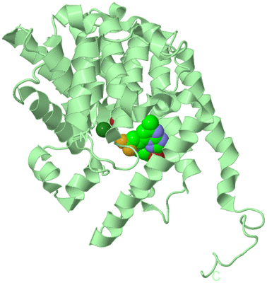 Image Biological Unit 2