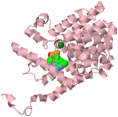 Image Biological Unit 3